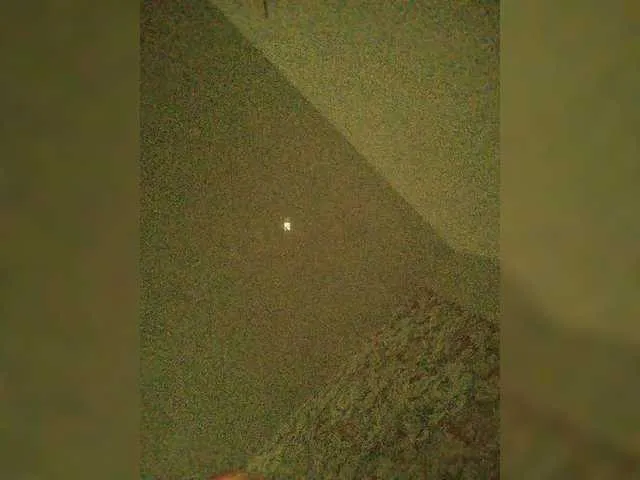 Danilovea on BongaCams