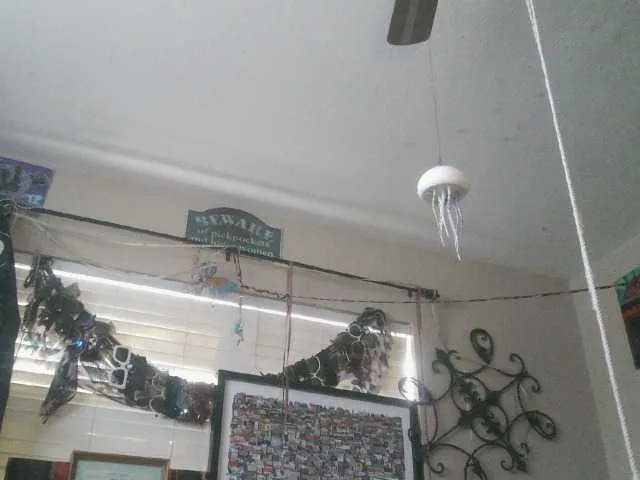 dankskank3 on BongaCams