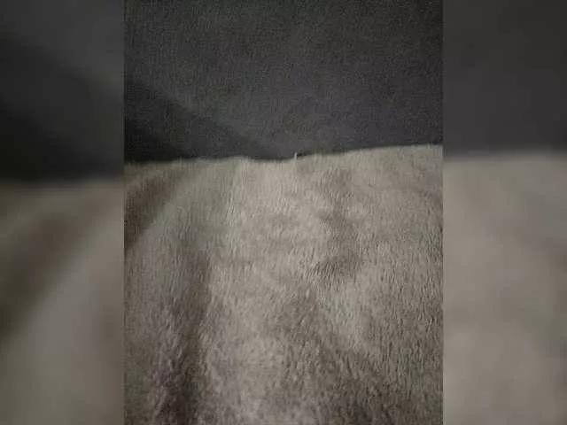 Daria161 on BongaCams 