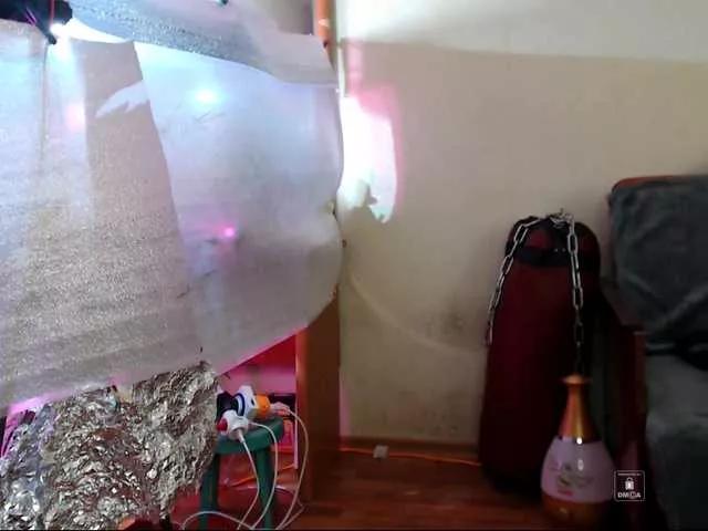 DiaFoxi on BongaCams