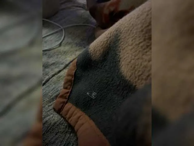 hotpars on BongaCams
