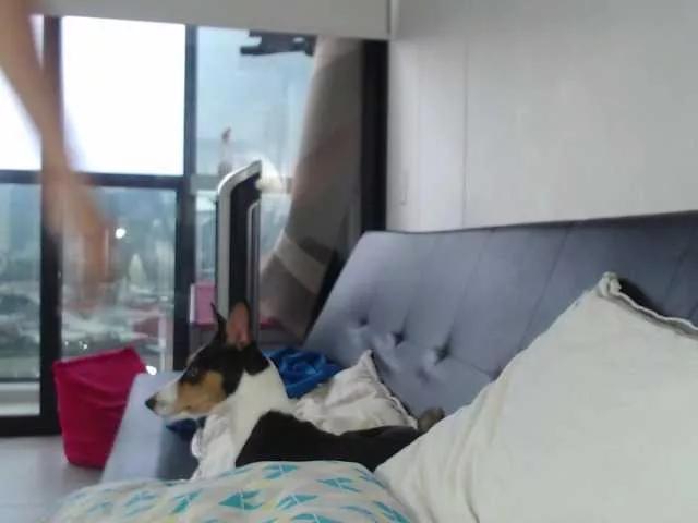little-valeri on BongaCams 