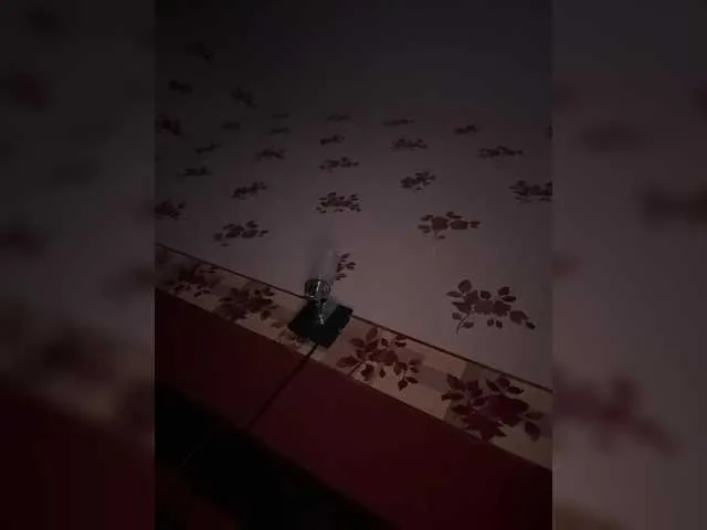 Rinaaamur on BongaCams
