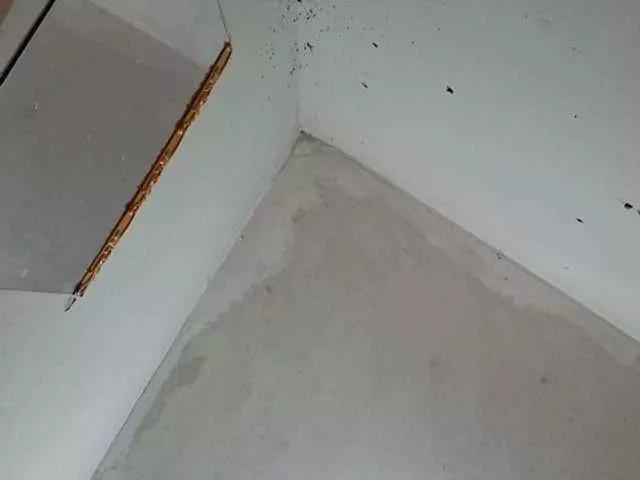 sexyasian27 on BongaCams