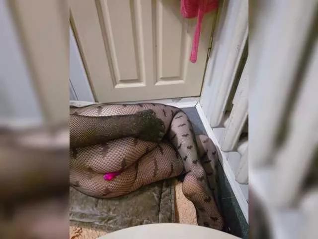 skeiterixxx123 from BongaCams