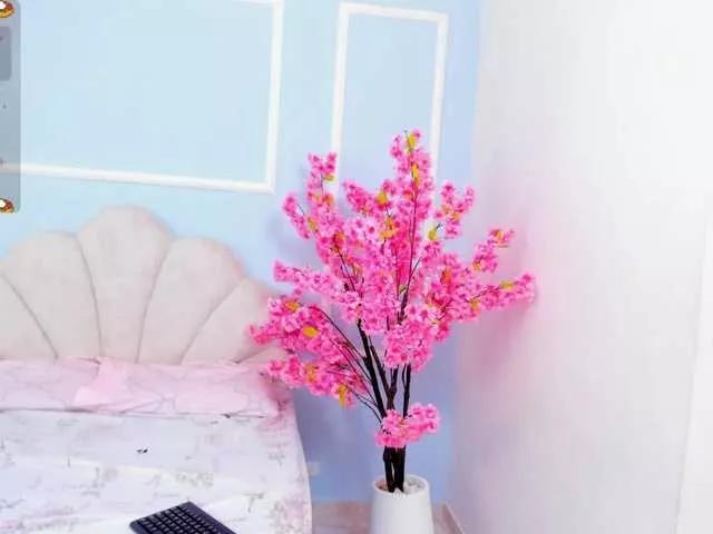sofytailor on BongaCams 
