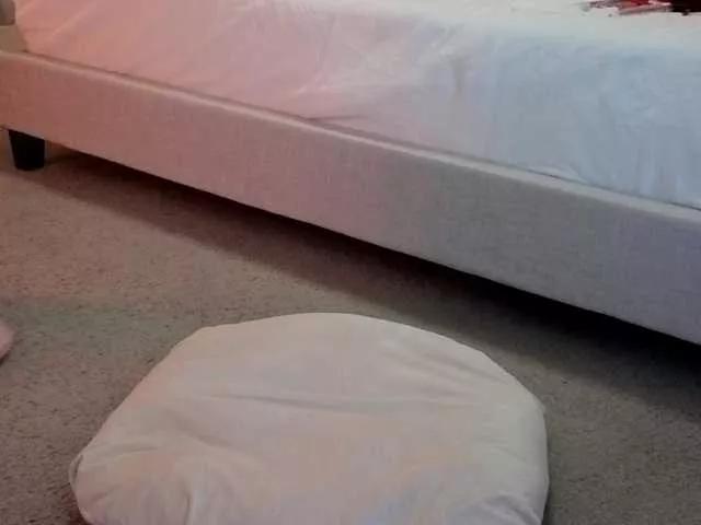 Offline Sunshine- on BongaCams