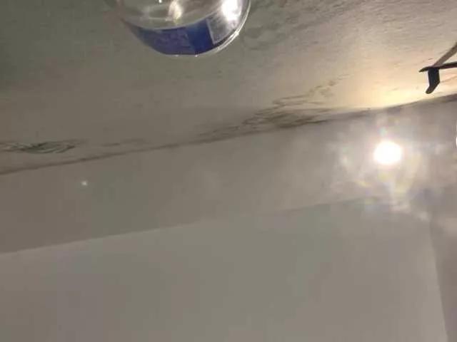 WildBeetle from BongaCams