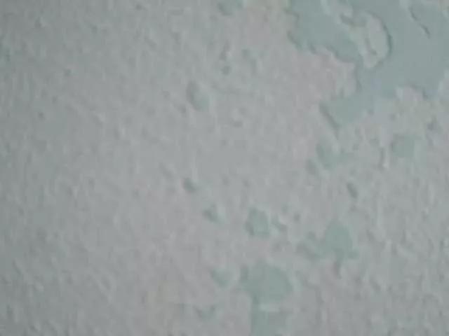 Freechat YoloLove on BongaCams