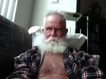beardbushy
