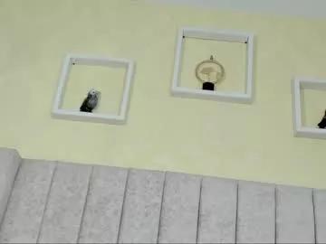 natalia_collinslim on Chaturbate 