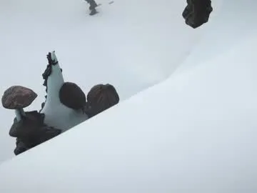 stream247_v2 — Freechat on Chaturbate