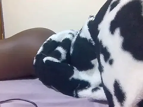 African_ass20 on StripChat