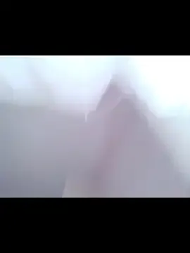 boraaily — First