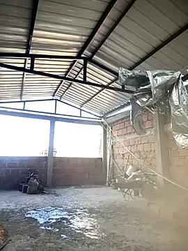 Try BrianaBrownn, she wants to masturbate for you BrianaBrownn from StripChat