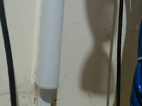 Charming_lexi — Surprise me! 