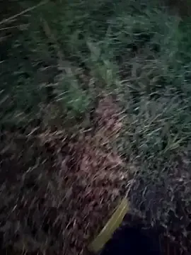 dolphiinn —   ... Naked...  