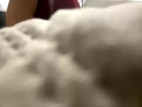 FerrariFrench on StripChat 