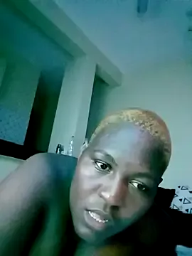 laviedavi