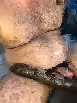 MrPatrick777