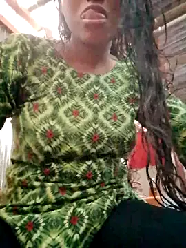 pakhibhabi