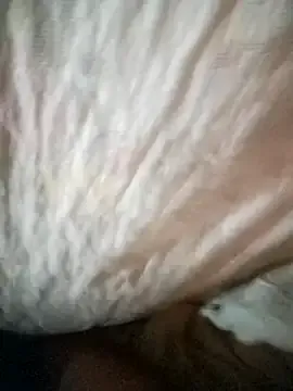 Pretinha021bxd — Vamos ?