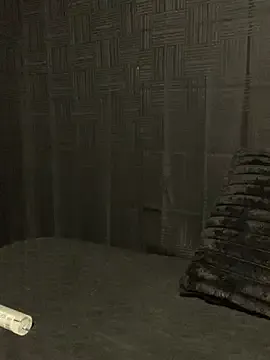 Rakiyahcharms — New lush toyzzzz/butt+kitty plug