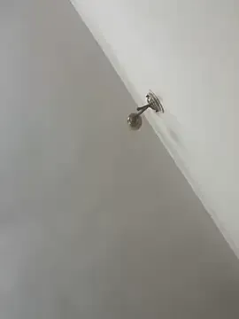 Snehameoww@xh — Boobs play with lotion