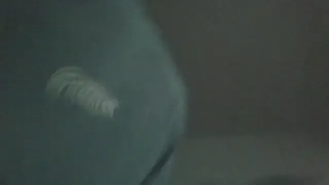 SoftLeini — what're we up to tonight? >:)