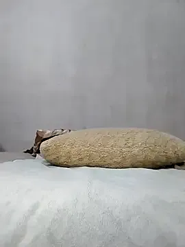 Stallion100 — Cucumber Show