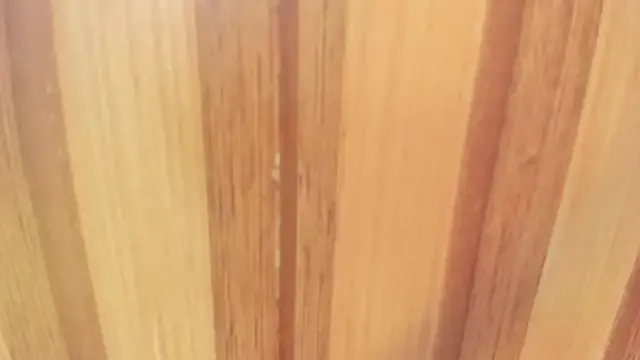 Taylor__cooper on StripChat