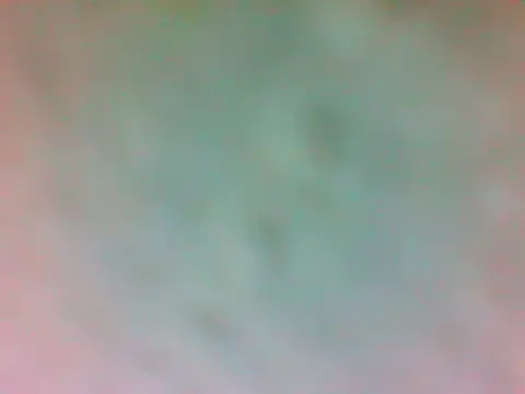 TheDoggyAss