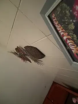 Valentinacouple — Twerk Dance showing panties 