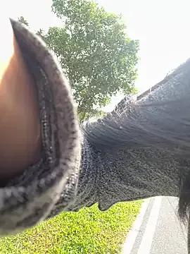 Watch StripChat's Winona88 Winona88 from StripChat